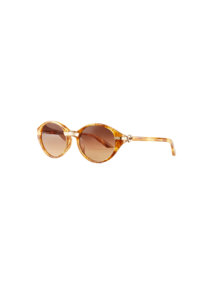 Brown & Gold Cannes Sunglasses